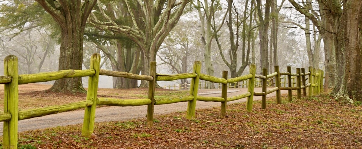 A wooden fence in a wooded areaDescription automatically generated with low confidence